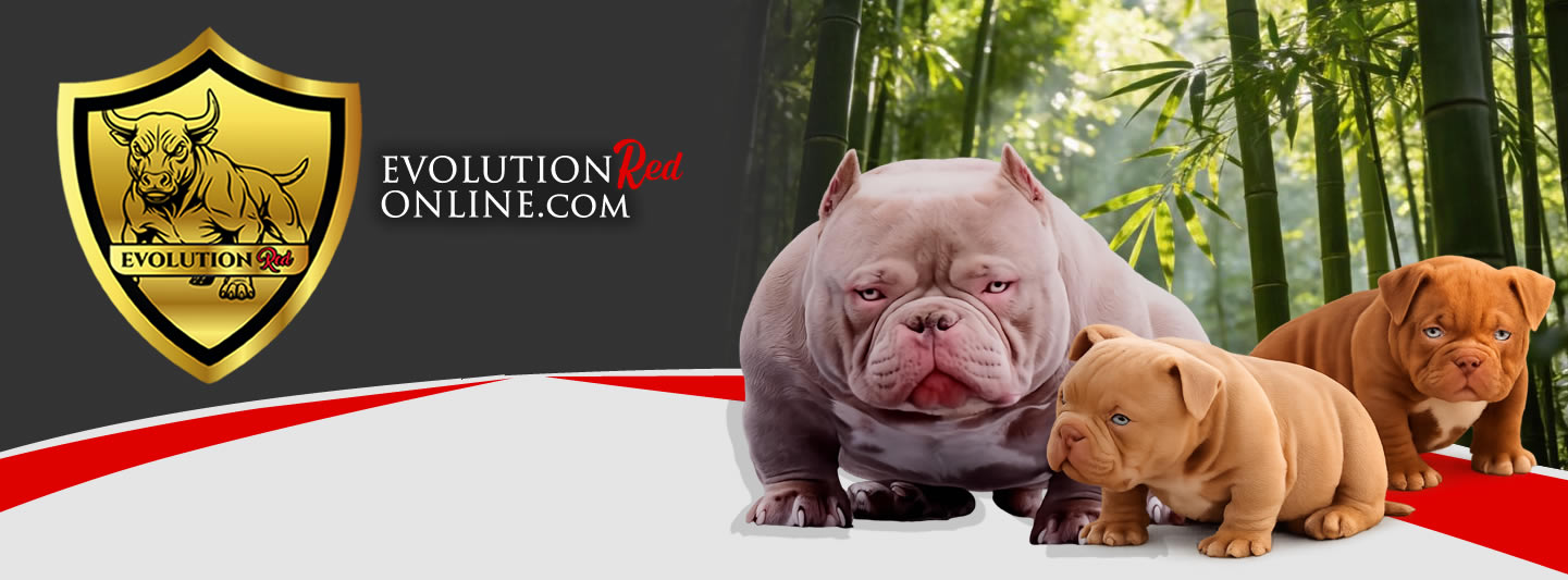 ALL THE ESSENTIALS FOR YOUR FURRY FRIENDS